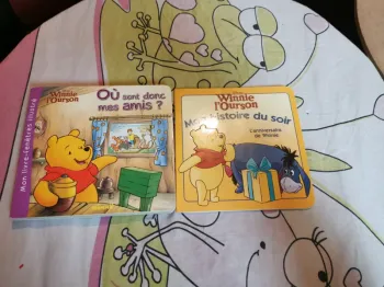 Lot de 2 livres Winnie L'ourson