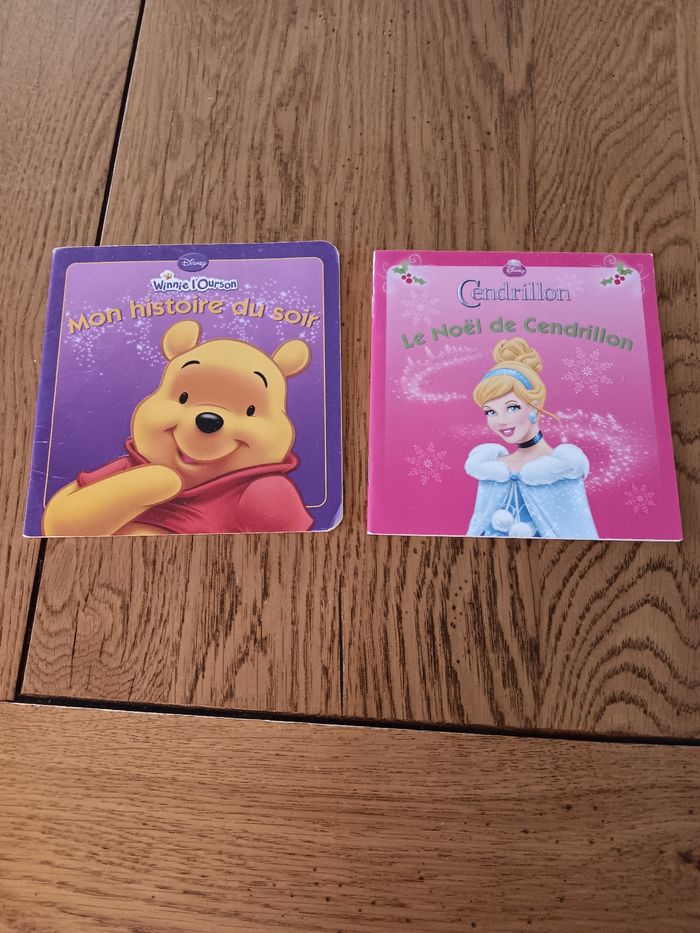 Lot de  2 livres Disney