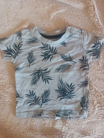 Tee shirt manches courtes bébé