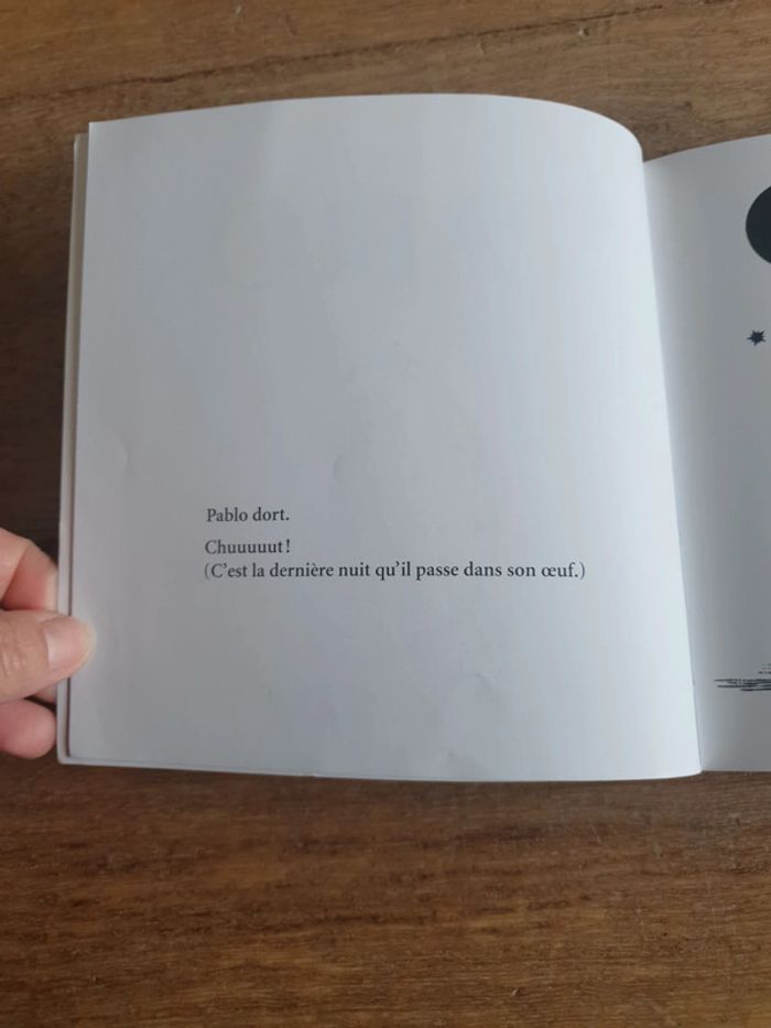 Livre Pablo - photo numéro 3