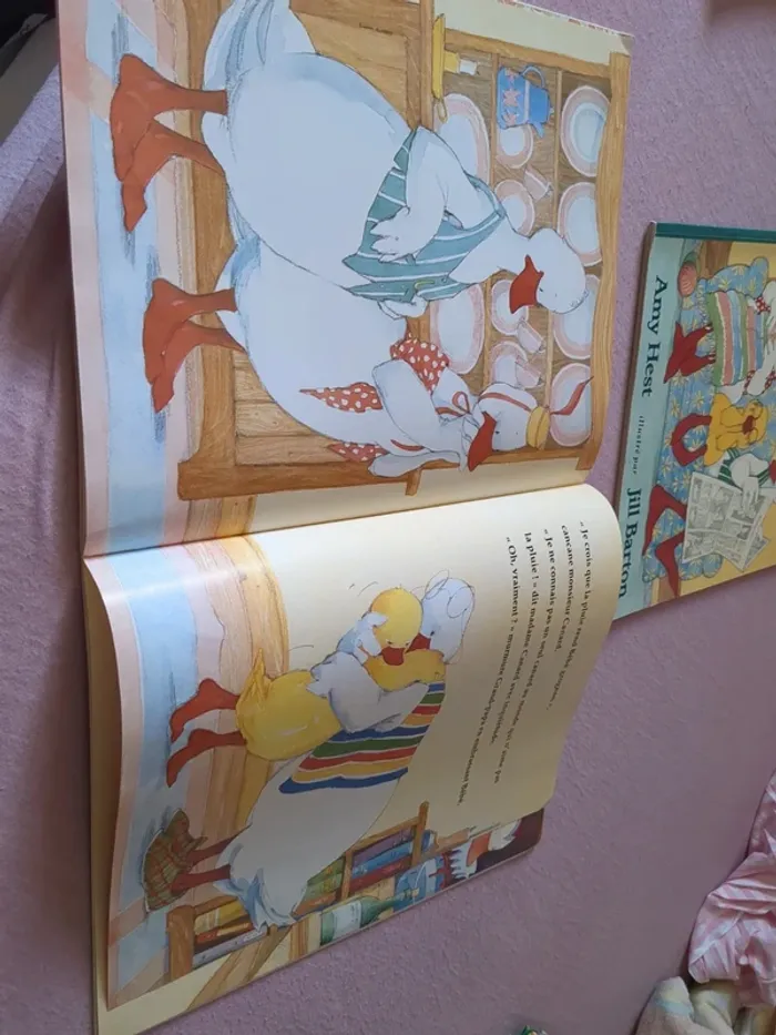 Bébé canard - photo numéro 4