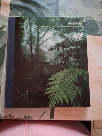 Bornéo. Les grandes étendues sauvages