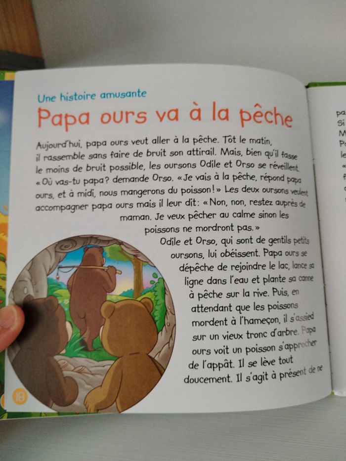 Altaya Les animaux de la forêt n°2 L'ours brun - photo numéro 14