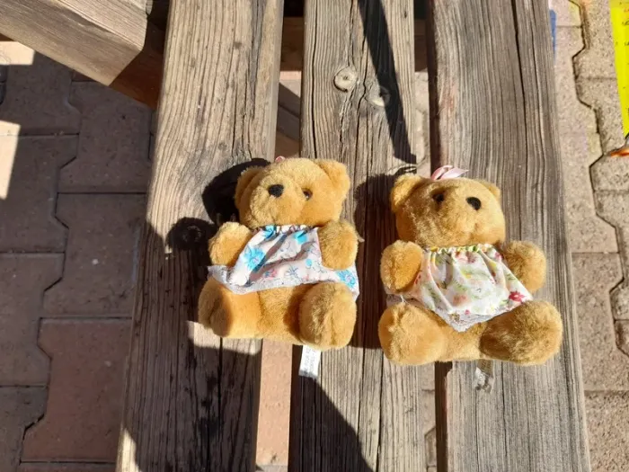 Lot 2 oursons en peluche h/f