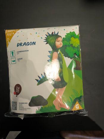 Déguisement de dragon