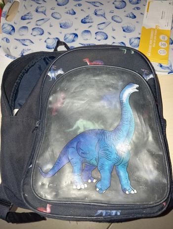 Sac dinosaure