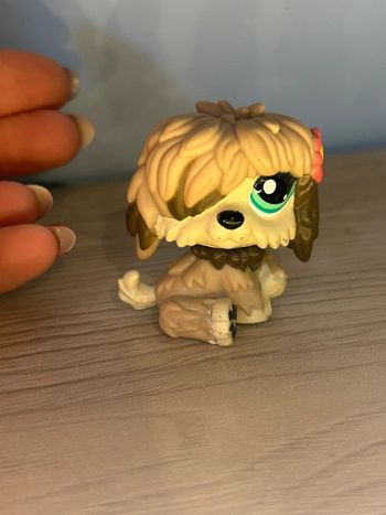 Chien Littlest pet shop