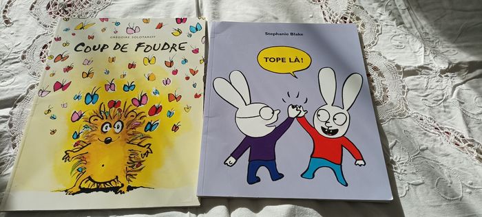 2 livres enfants - photo numéro 9