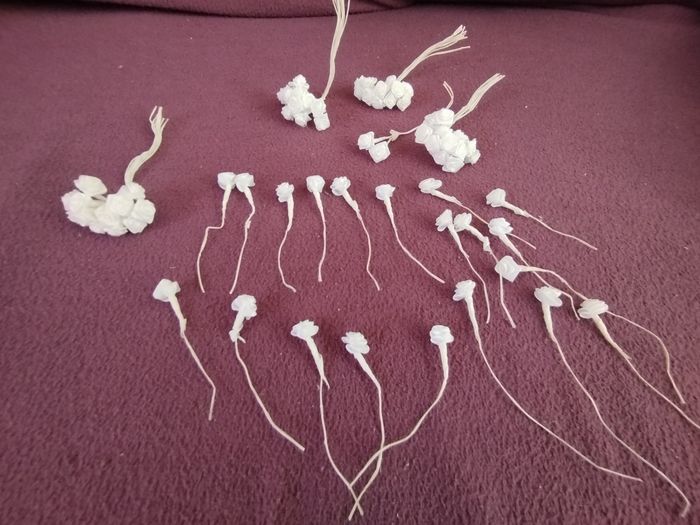 accessoires cheveux - photo numéro 2