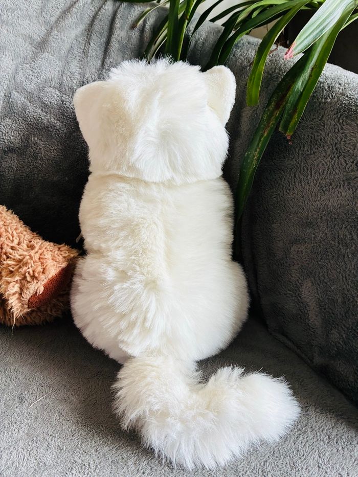 Lot peluches chat - photo numéro 4