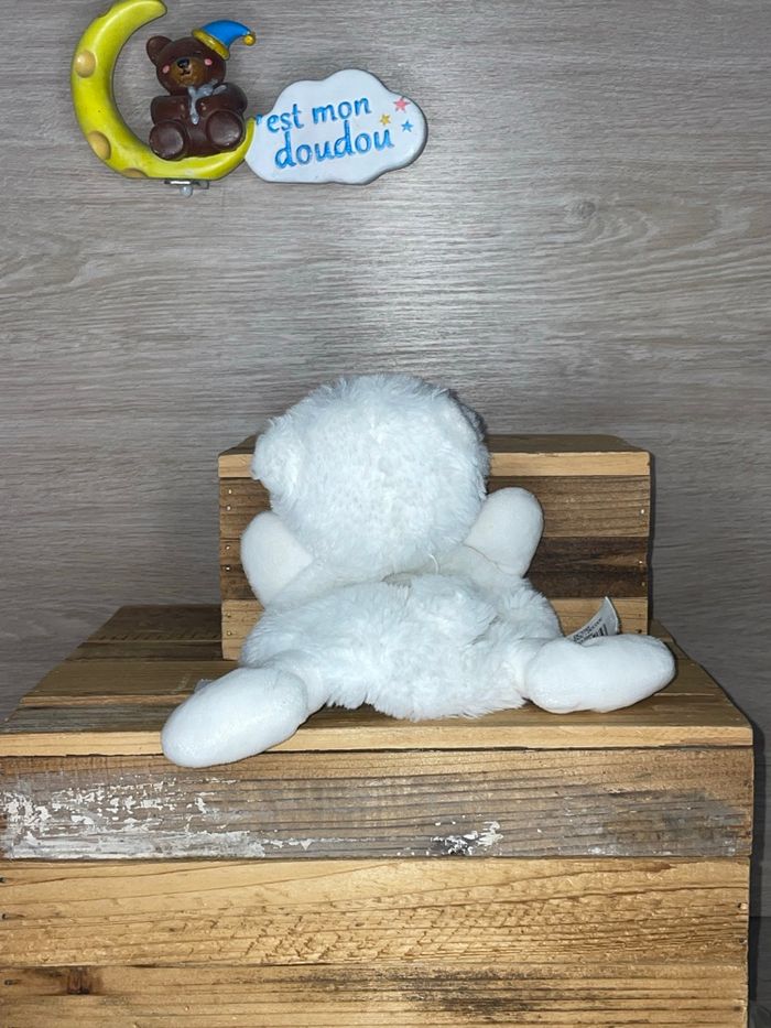 DDC30 doudou et compagnie ours 🐻 - photo numéro 2