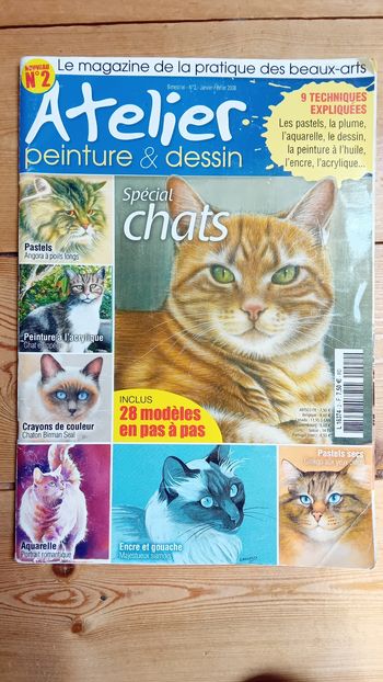 Magazine beaux arts sur les chats