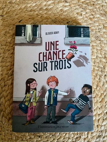 Livre Une chance sur trois de Olivier Adam