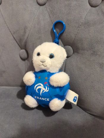 Porte clef France fff