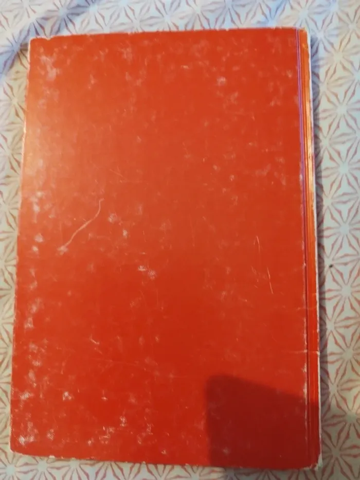 Walt Disney les 101 dalmatiens - photo numéro 3