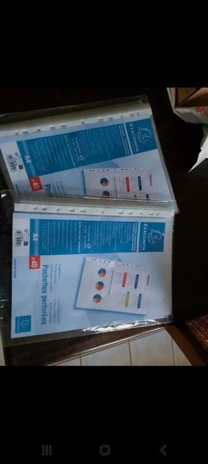 Pochettes perforées Exacompta