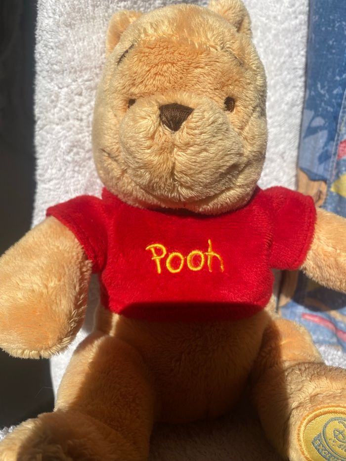 peluche winnie l'ourson disney store exclusive - photo numéro 2