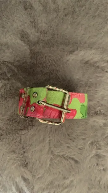 Ceinture neuve