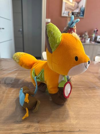 Renard d’activité