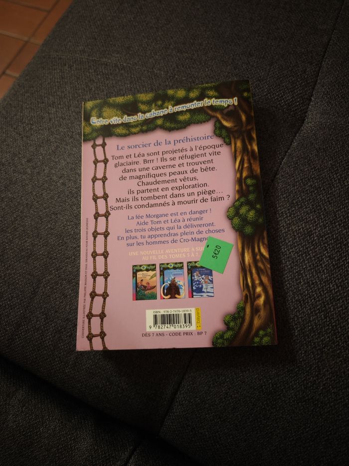 Le sorcier de la préhistoire (La Cabane Magique) - photo numéro 2