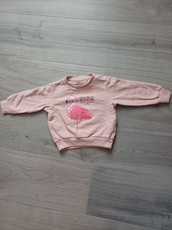 Pull taille 9 mois