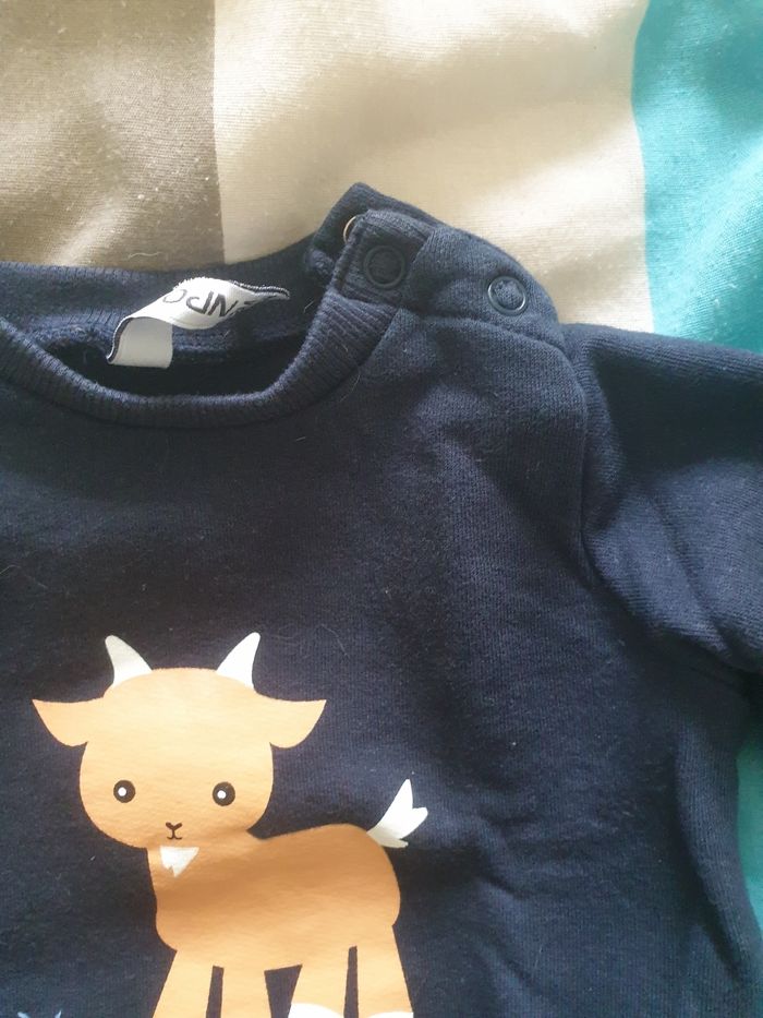 Ensemble - photo numéro 7