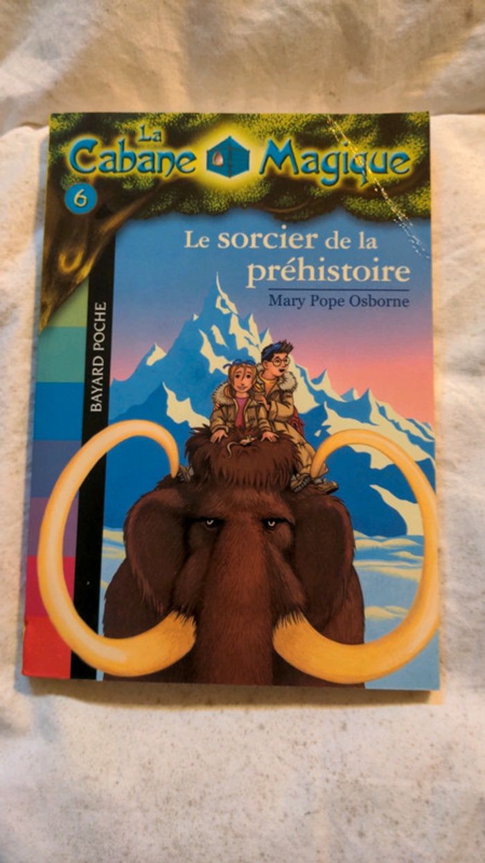 Le sorcier de la préhistoire