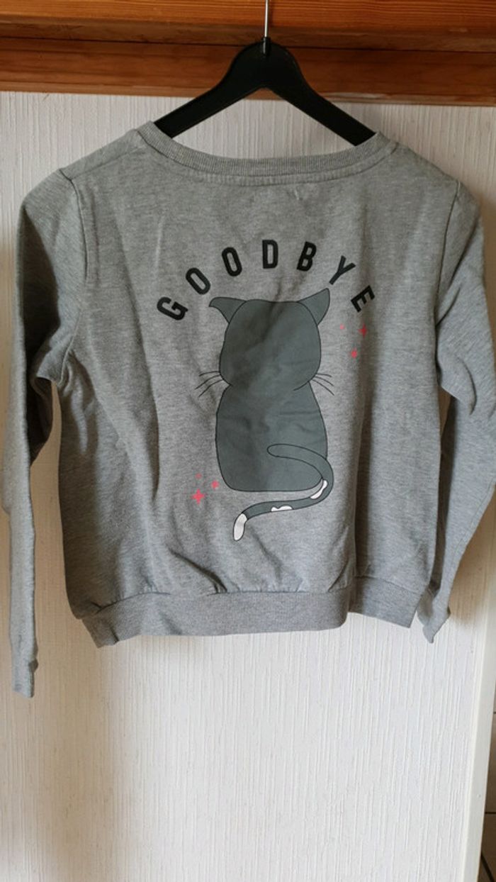 Pull Gemo 12 ans - photo numéro 3