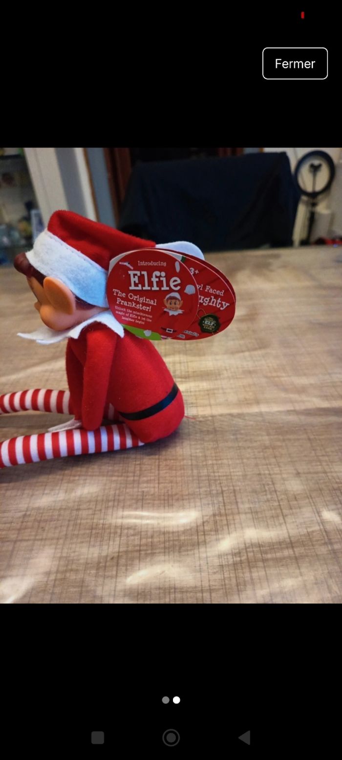 Lutin farceur - photo numéro 2