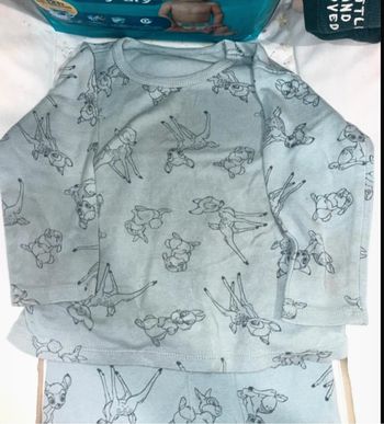 Ensemble Disney