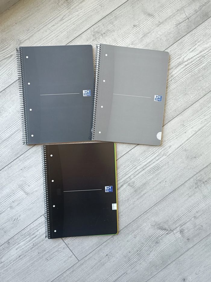 Lot cahiers Oxford color system