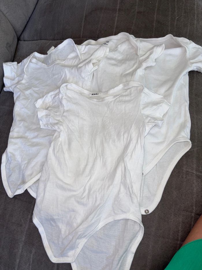 Lot 4 bodies