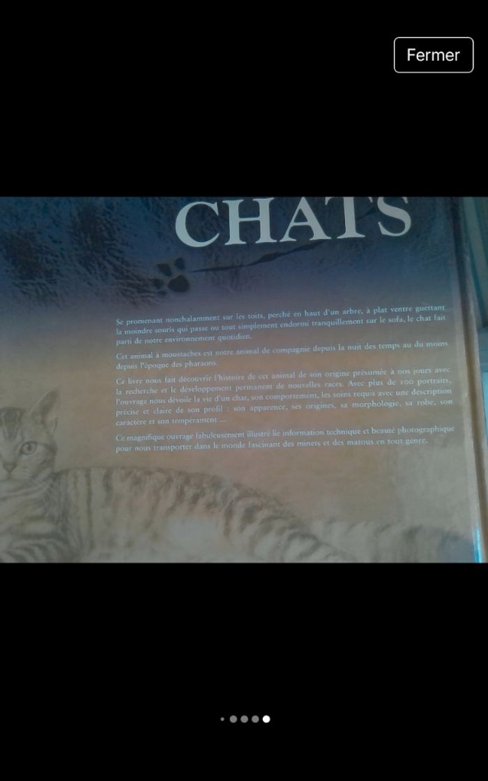 Le monde fascinant des chats - photo numéro 3