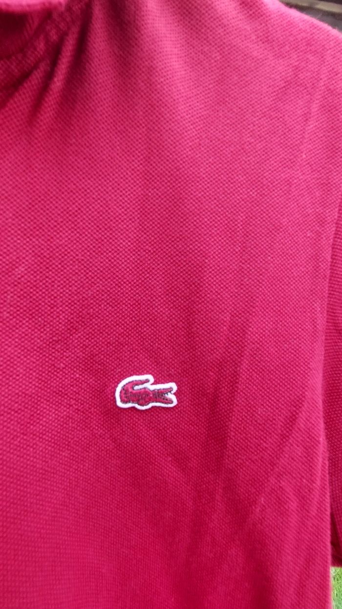 Polo lacoste taille 36 - photo numéro 2