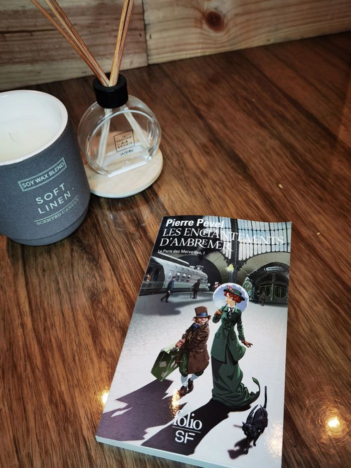 D2961 - livre "Les enchantements d’ambremer" - photo numéro 2