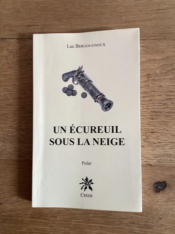 Livre « un écureuil sous la neige »
