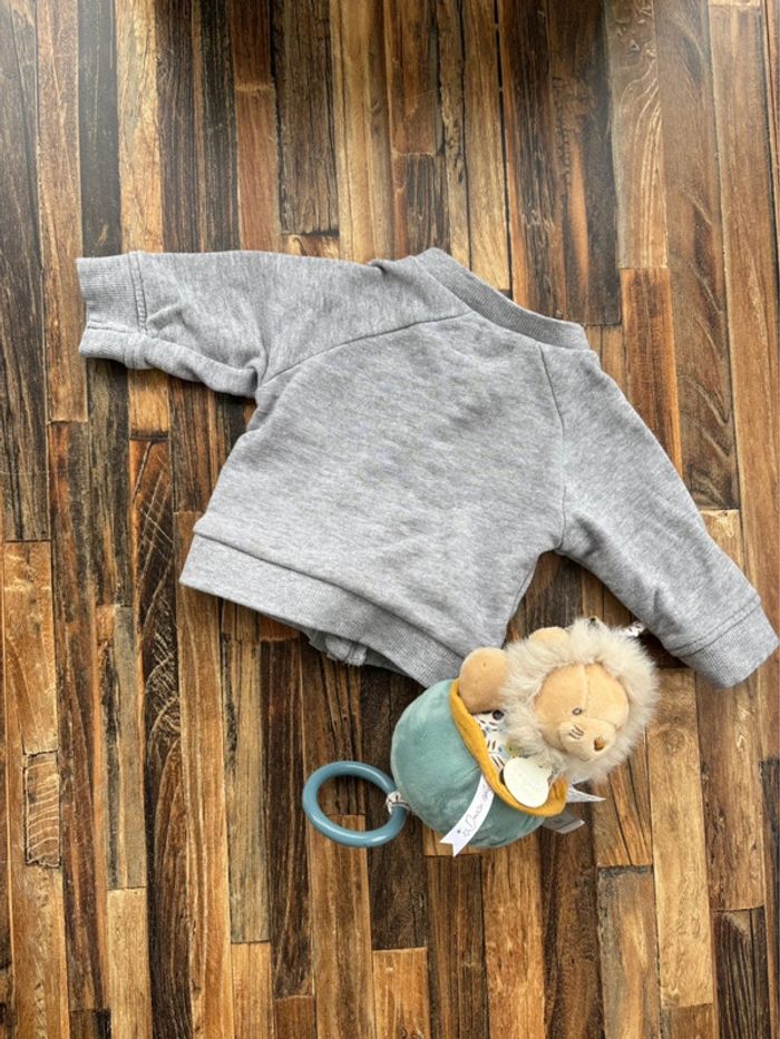 Gilet/sweat 1 mois - photo numéro 3