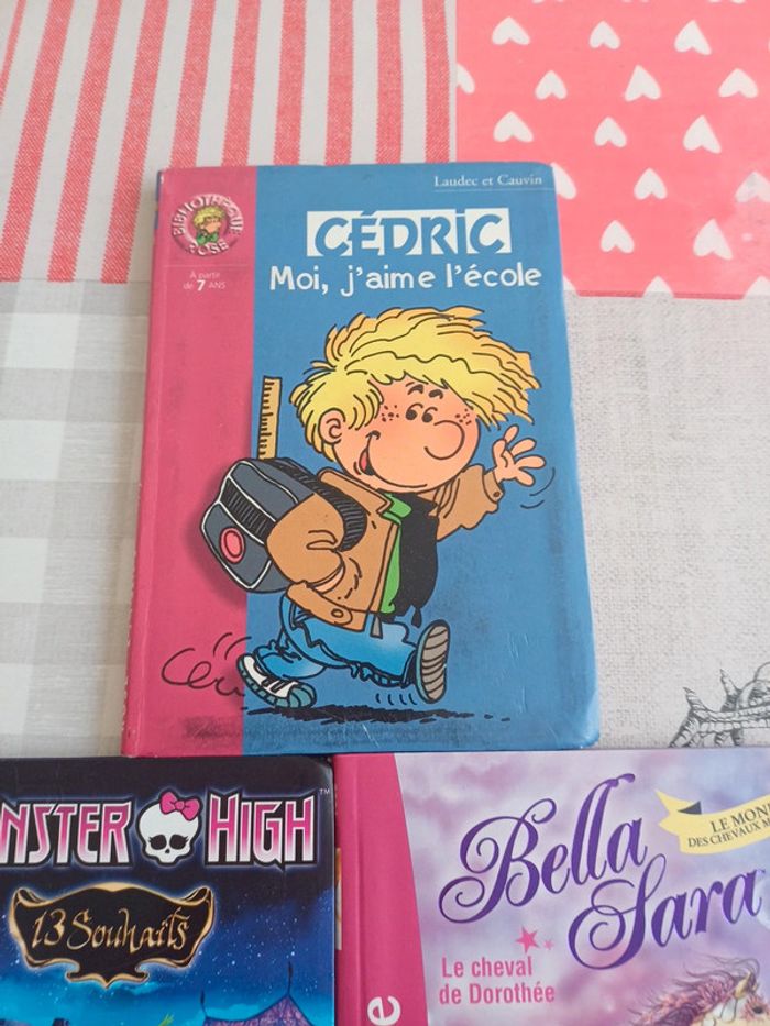 Lot livres - photo numéro 4