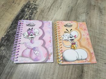 Lot de 2 carnets à spirales neufs Diddl is back