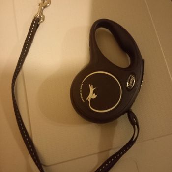 Harnais Julius + laisse Flexi pour petit chien