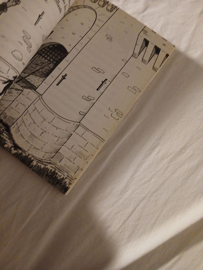 Livre - photo numéro 3