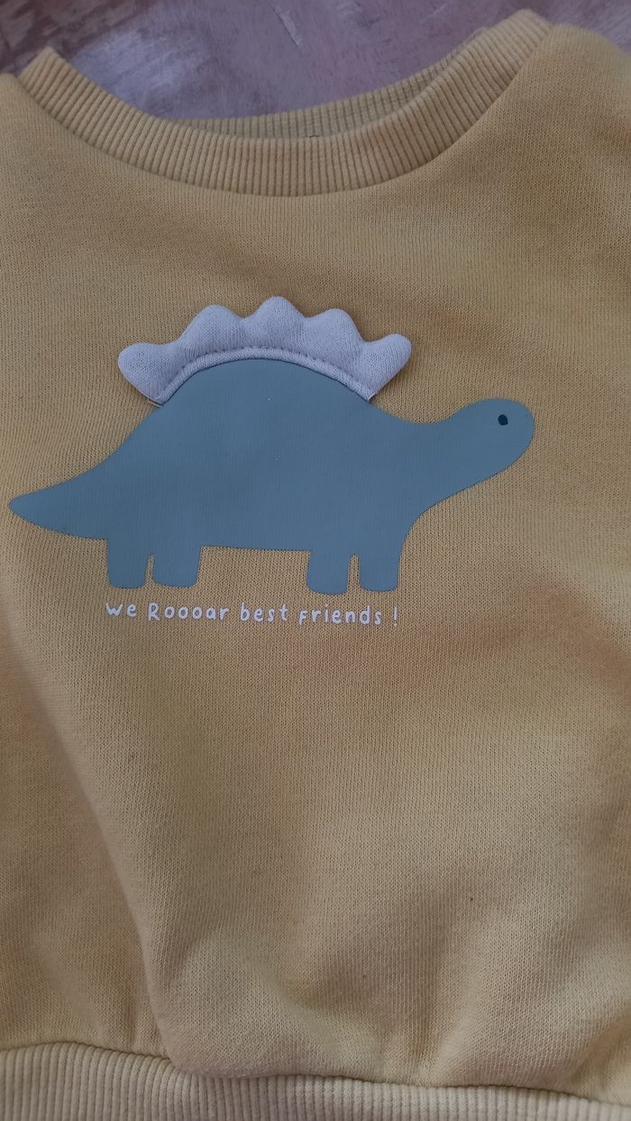 Sweat 3 mois - photo numéro 2