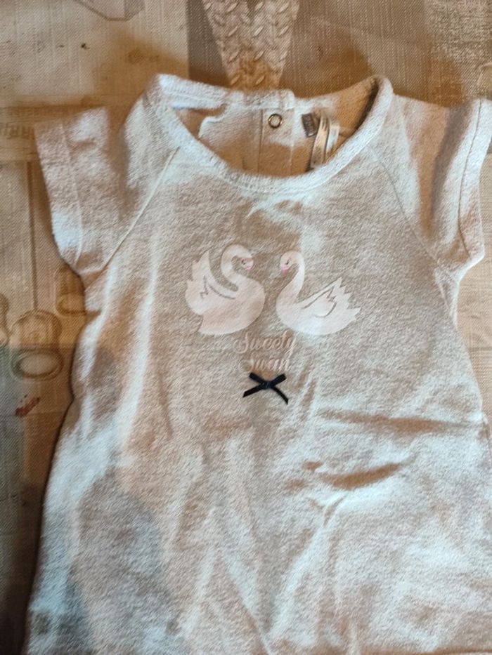 Robe cygne - photo numéro 2