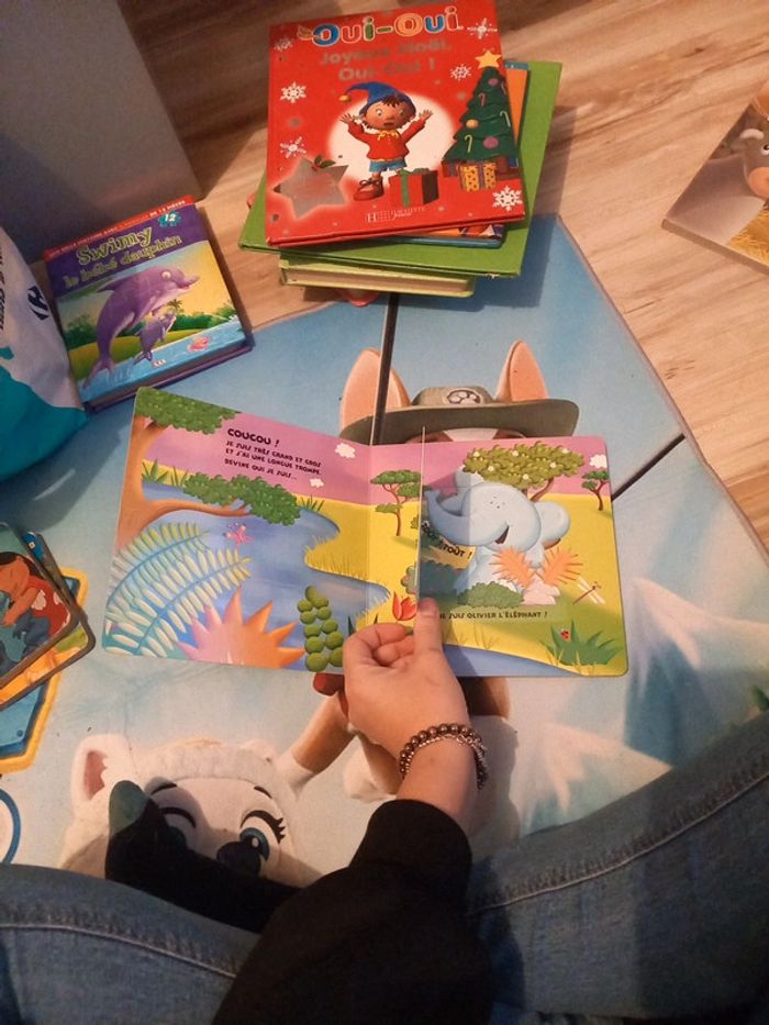 Livre flip flash au zoo - photo numéro 2