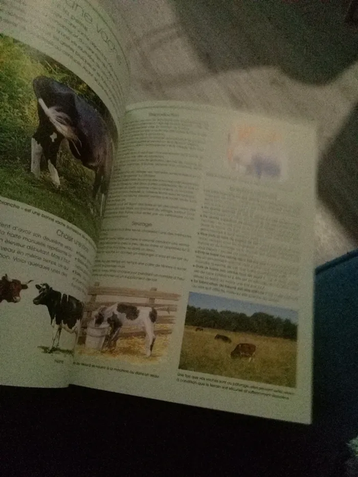 Livre vivre Bio - photo numéro 3