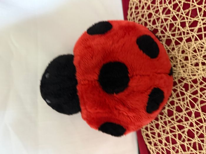 Peluche coccinelle - photo numéro 3