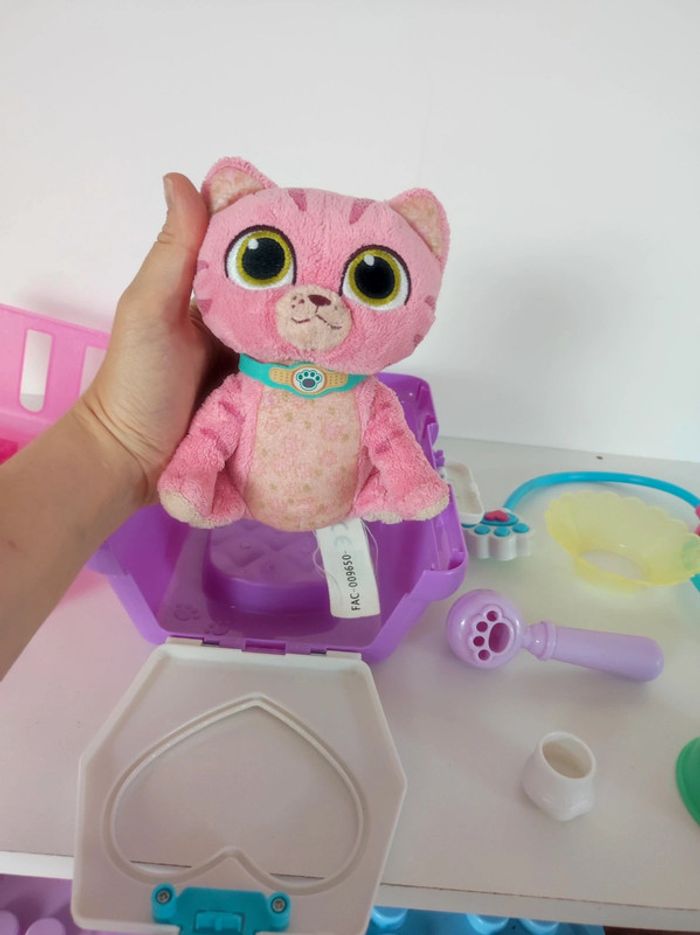 chat à soigner - photo numéro 7