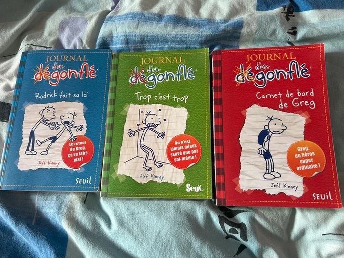 Livre journal d’un dégonflé