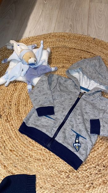 Sweat à capuche Z 12 mois