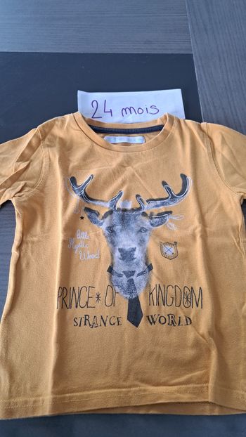 Tshirt manches longues 24 mois